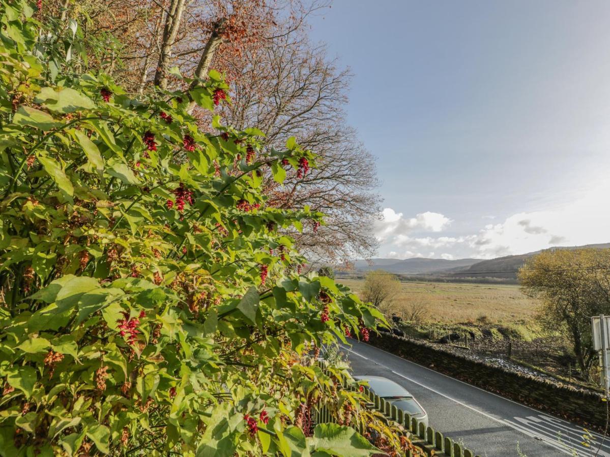 Bryn Melyn Artist'S Cottage Llanelltyd Exterior foto